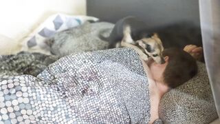 12 Unmistakable Signs Your Cat Loves You