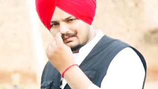 Seddo most wala