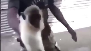 Defeat