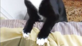 She is an actress