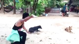 Troll Prank Dog Funny & fake Lion and Fake Tiger Prank To dog