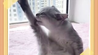 Wow! Long legs, bad is the feeling of heart！！