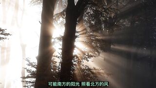 beautiful scenery 4