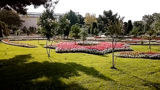 ЦВЕТОЧНЫЙ САД