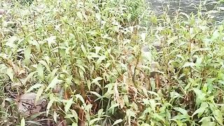 Bhara kahu rain/Beautiful weather in Bhara kahu Islamabad/pakistan/SohailT22vlog