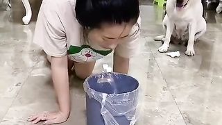 cute pet 3