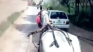 Tangy ke sawari