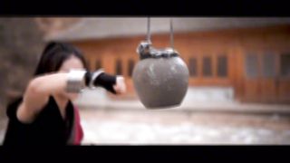 The Hong family's Iron Line Fist, Twelve Way Tan Kick. Famous Iron Fist in Jianghu!