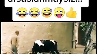 #tik tok 17