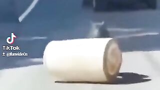 Wee videos 54