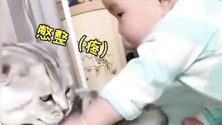 It turns out that cats can also control their emotions