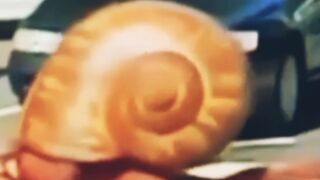 the man dressed as a snail II শামুকের পোশাক পরে লোকটা