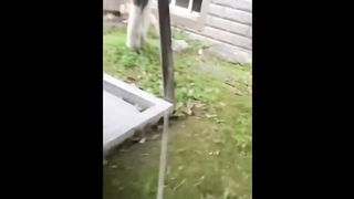 FUNNY CAT MEMES COMPILATION OF 2023 V22