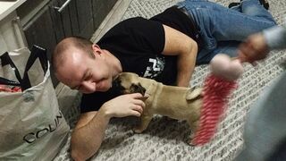 The first acquaintance with a Pug