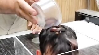 ANIMAL TIKTOK COMPILATION ???????????? REACTIONS Tiktok @kjsilsuniversal #Shorts #shorts.mp4