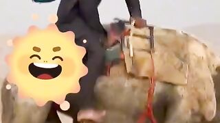 Best Funny video