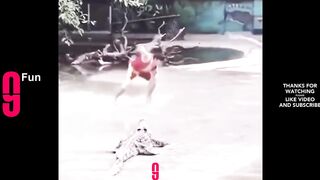 Funny Videos Of The Year 2022
