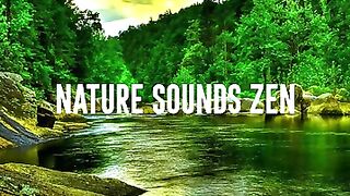 ‏the sound of nature