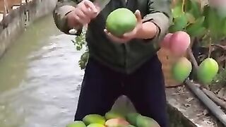 tiktok dances 2022 challenge