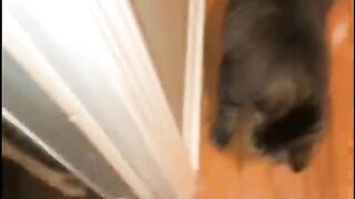 Random TikTok's I have saved pt.1