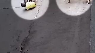 Incredible Pet Save ???????? Respect ????