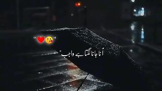 nice.video 3
