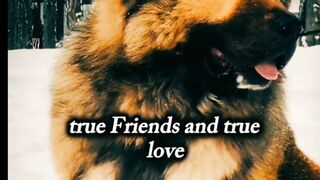 Motivationalquotes 3