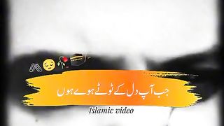 videos 38