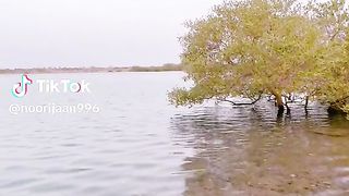 nice.video 4