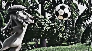 Lev football