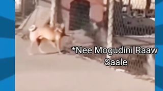 Compilation edit