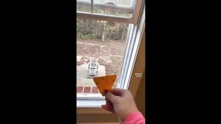 RANDOM MEMES COMPILATION