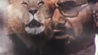 ہم کسی سے نہیں ڈرتے