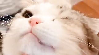 Hey..nood play me carefully