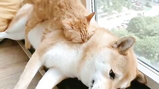 if you ok i ok too...