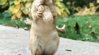 it's my nature nood..