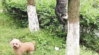Hidden mode