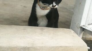Betrayed love
