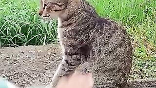 My hungry