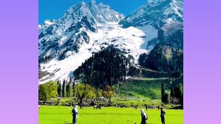 Rajasthani video natural beauty