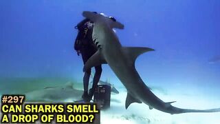 BREAKING 365 MYTHS IN 365 DAYS! NEW