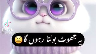 Bache apni naani k ghar gai hain | بچے نانی کے گھر گئے ہیں