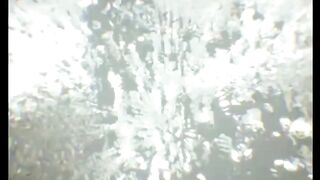 #temperament rose ???????? earing
