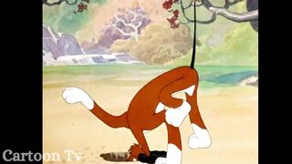 The Heckling Hare Cartoon #video #cartoon #funny