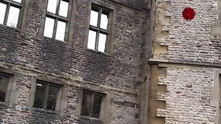 Dudley zoo castle ????