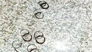 Chocolate Garnish