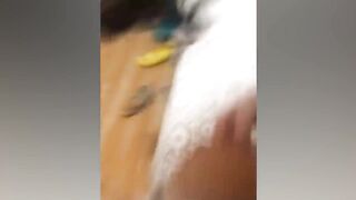 Best Funny Animal Videos 2023???? Funniest Cats And Dogs Videos Will Make You Laugh
