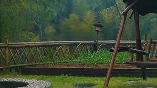 relaxing rain sounds