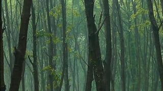 relaxing rain sounds 2