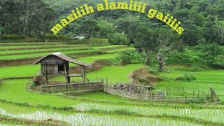Hujan di kampung